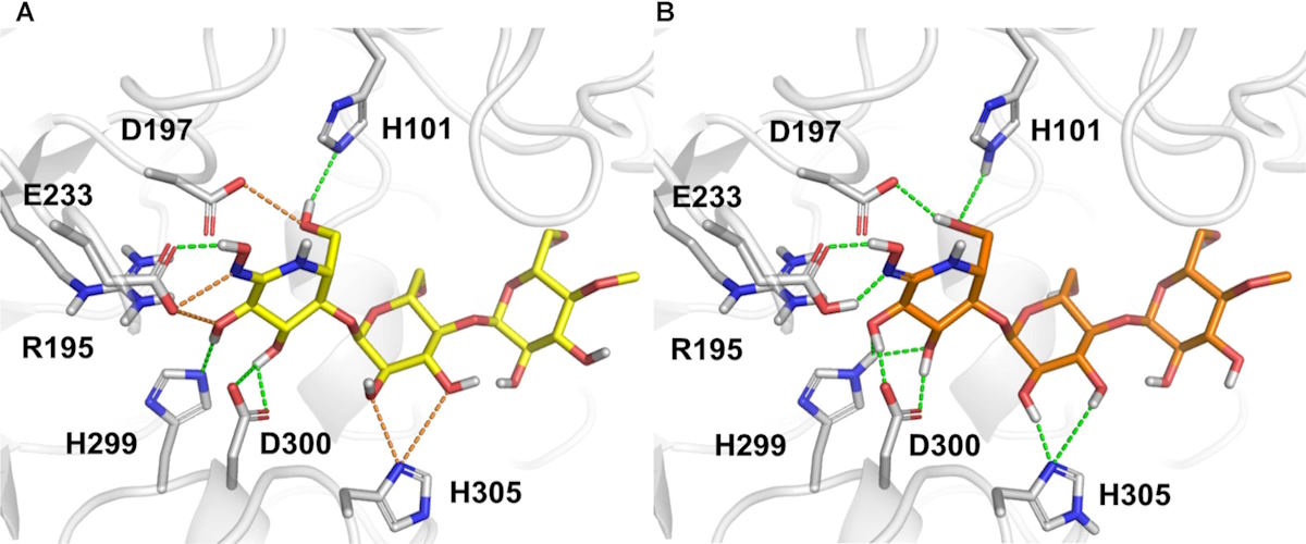 biomolecular interactions